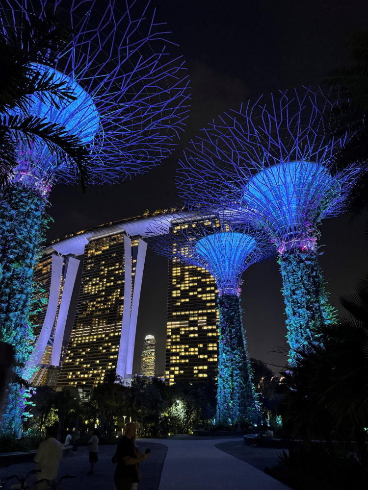 New Roth Catch-Up Rules for 401(k) Plans in 2026: What High Earners Need to Know